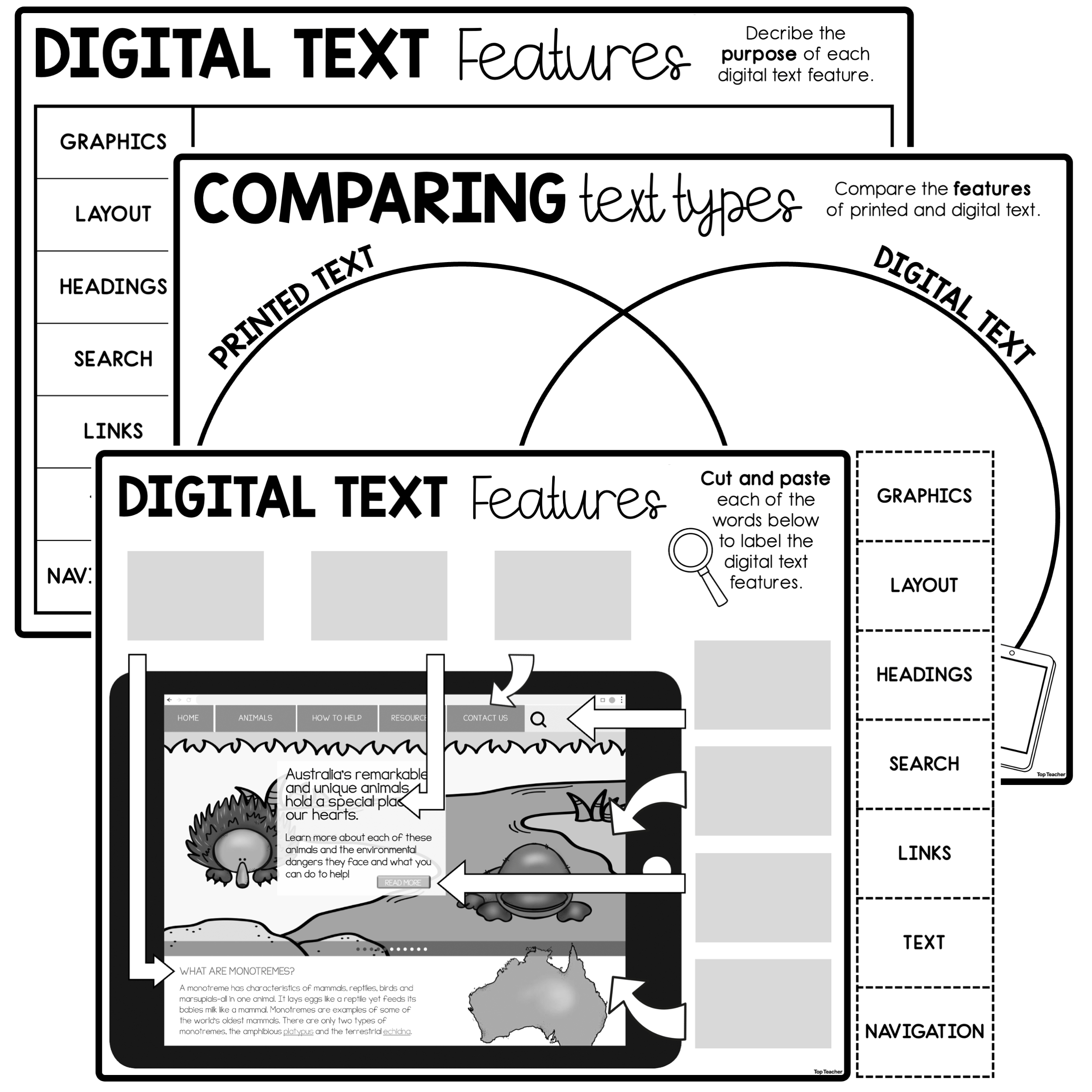 Digital Text Features Worksheets Top Teacher