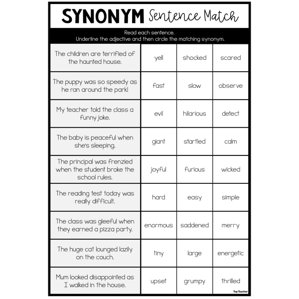 Synonym Sentence Match Worksheet Top Teacher