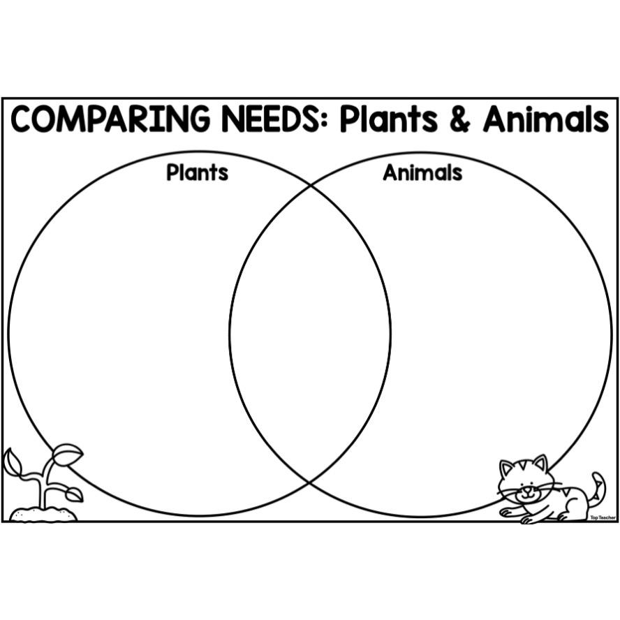 Comparing Plants & Animals Venn Diagram Worksheet Top Teacher