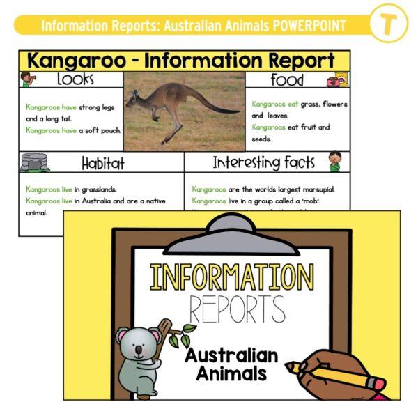 Information Reports Australian Animals POWERPOINT - Image 2