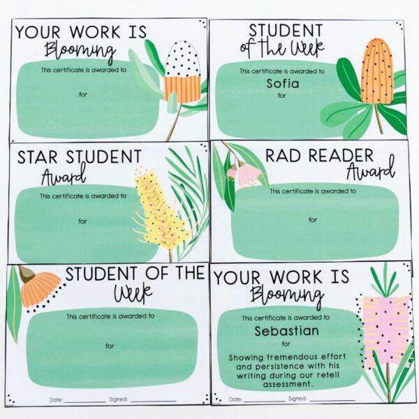 Certificates Let’s Bloom - Image 2