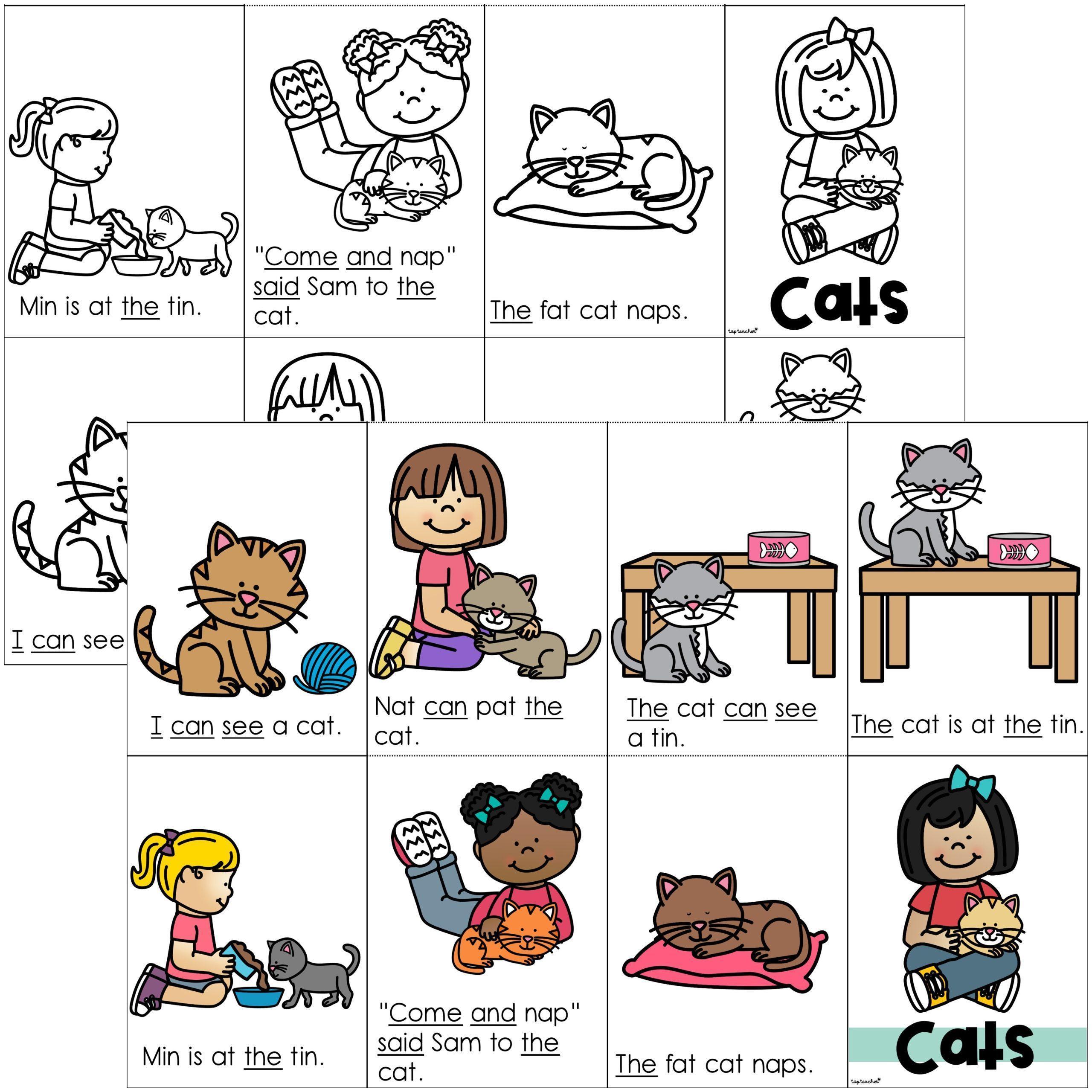 Decodable Mini Book Set: 1 Cats STATE FONTS - Top Teacher