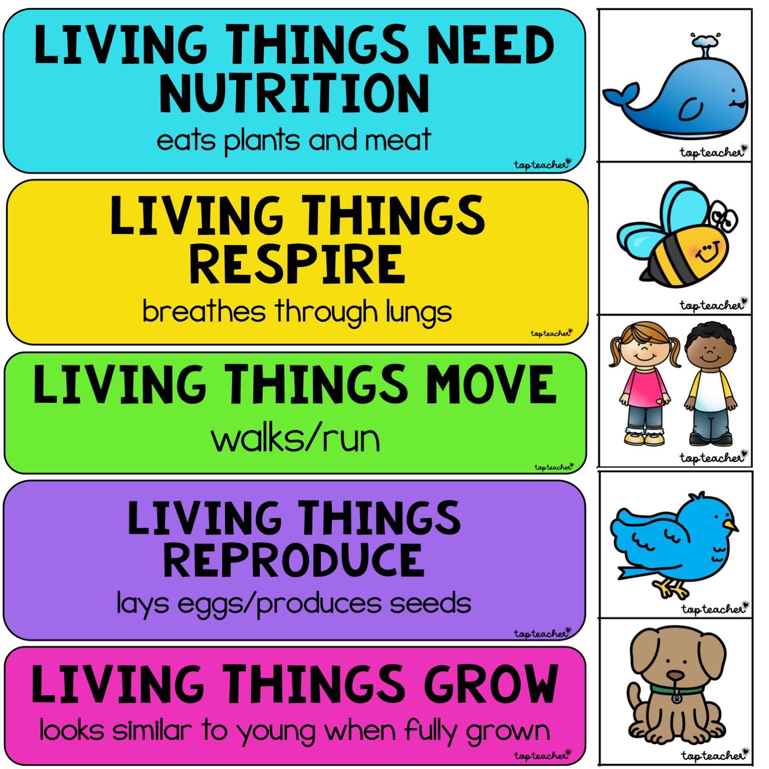 The Characteristics of Living Things