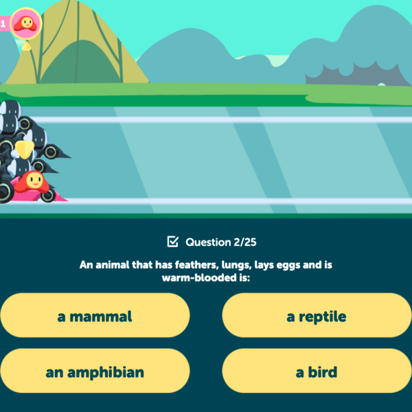 Classifying Animals LET’S RACE - Image 2