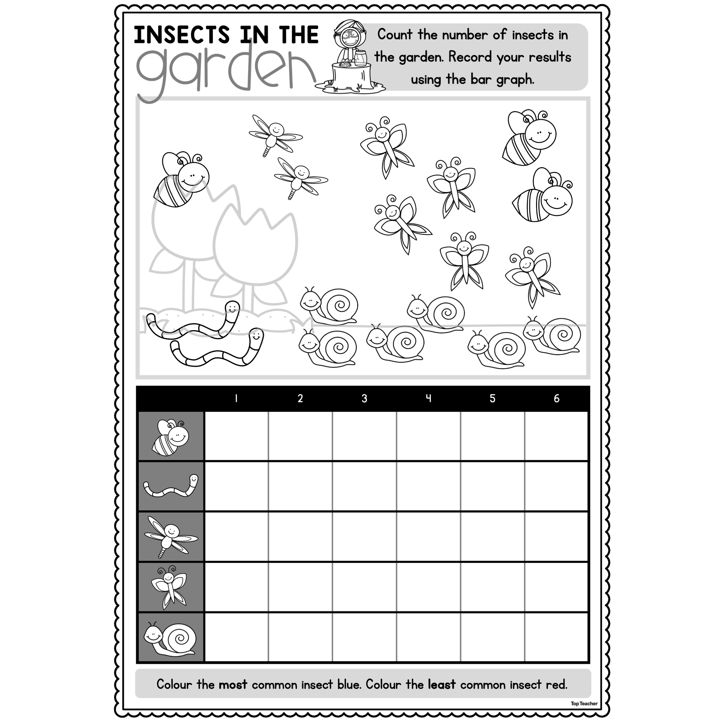 Insects in the Garden top teacher