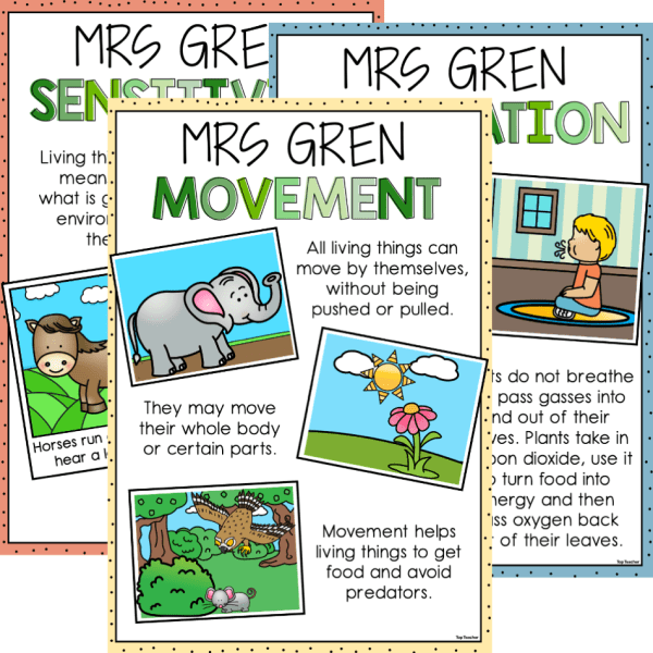 MRS GREN Display Posters – Top Teacher