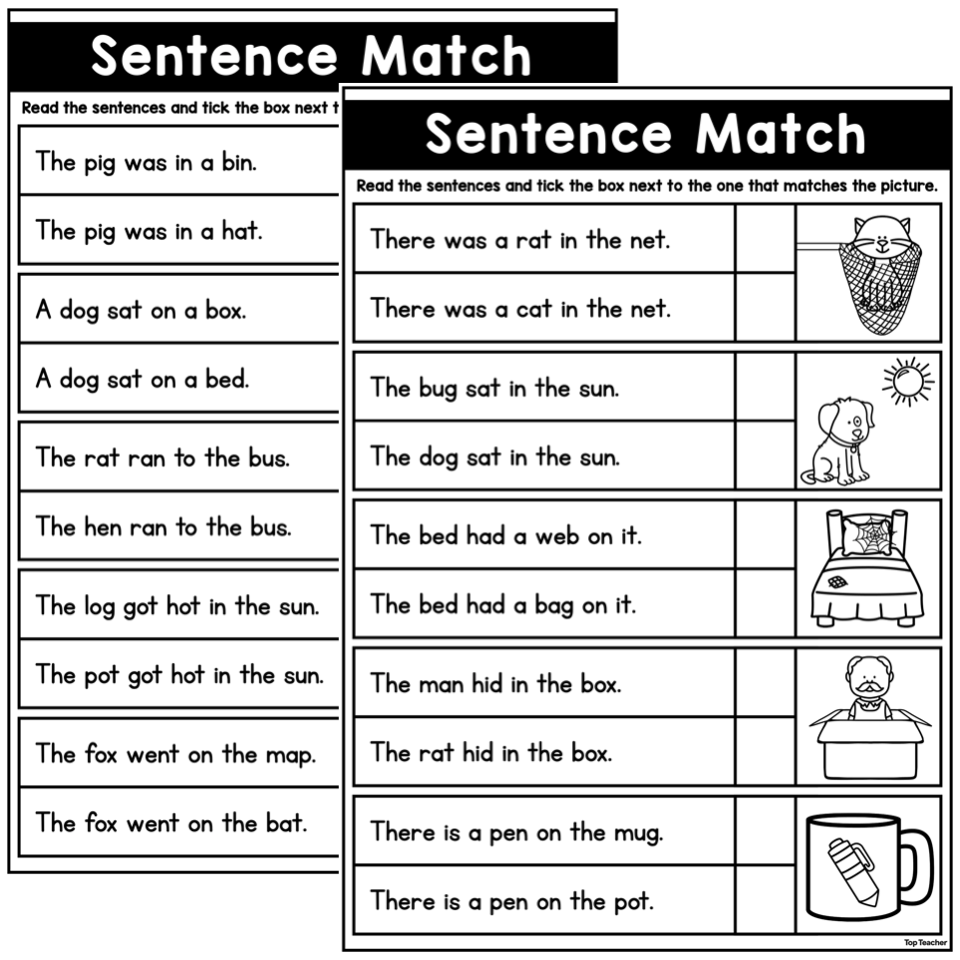 Sentence Match Worksheet: CVC - Top Teacher