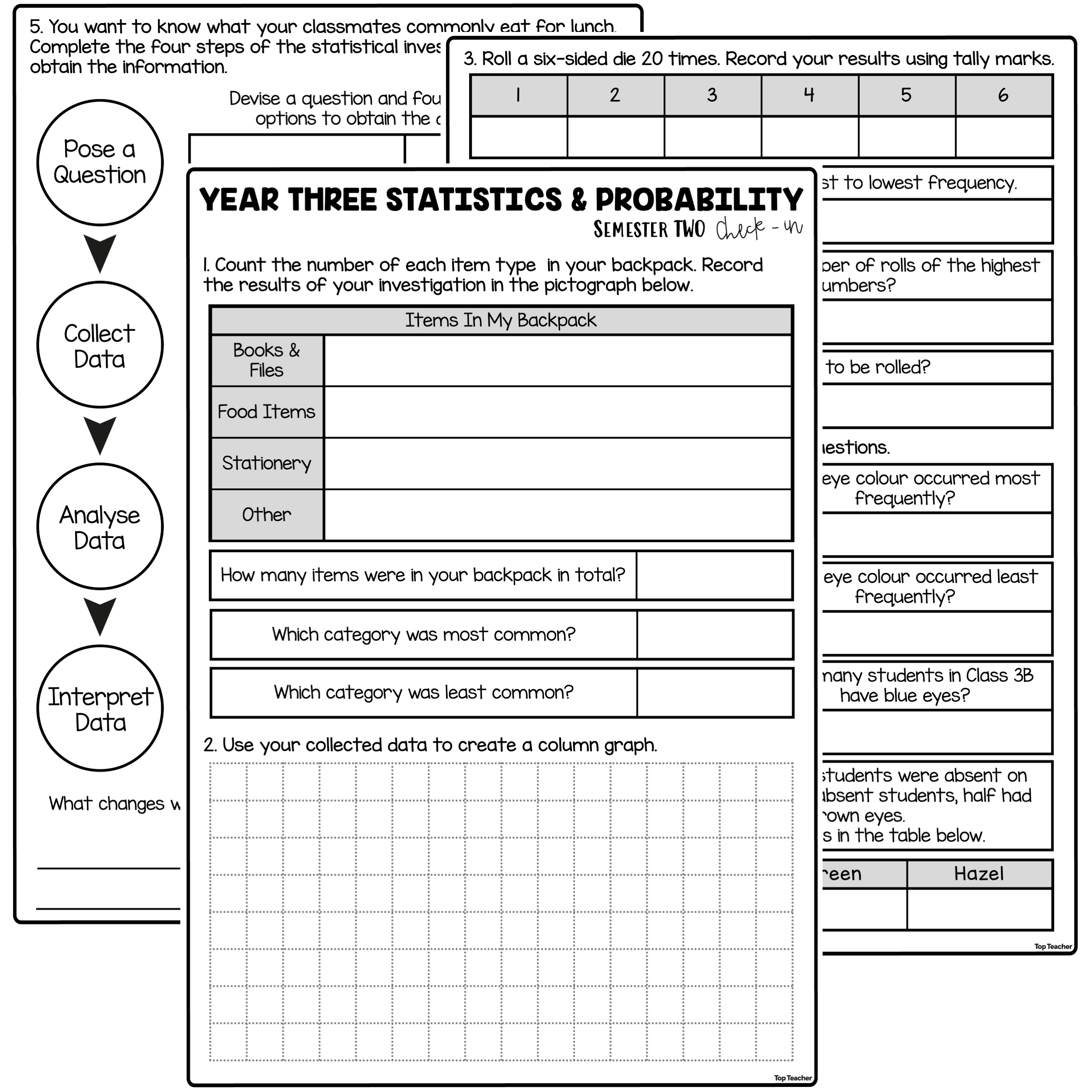 Year 3 Semester Two Statistics Assessment top teacher