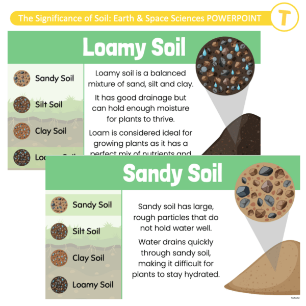 The Significance of Soil: Earth & Space Sciences POWERPOINT - Image 3