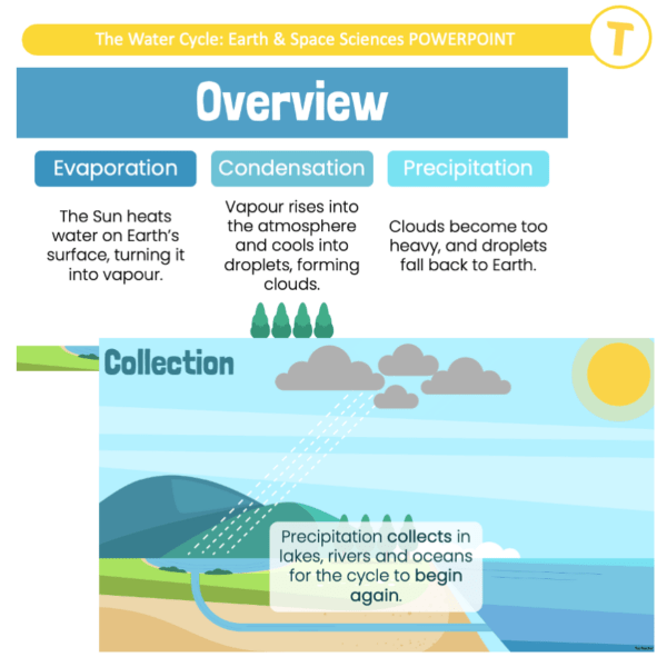 The Water Cycle: Earth & Space Sciences POWERPOINT - Image 3