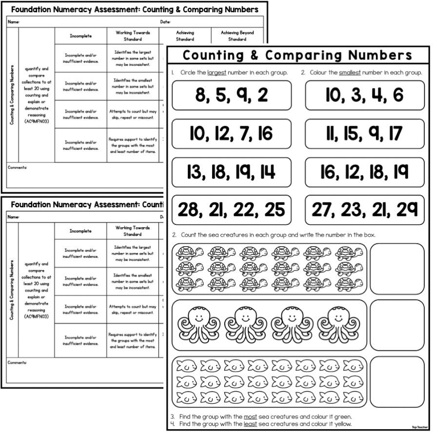 Foundation Counting & Comparing Numbers Assessment TT