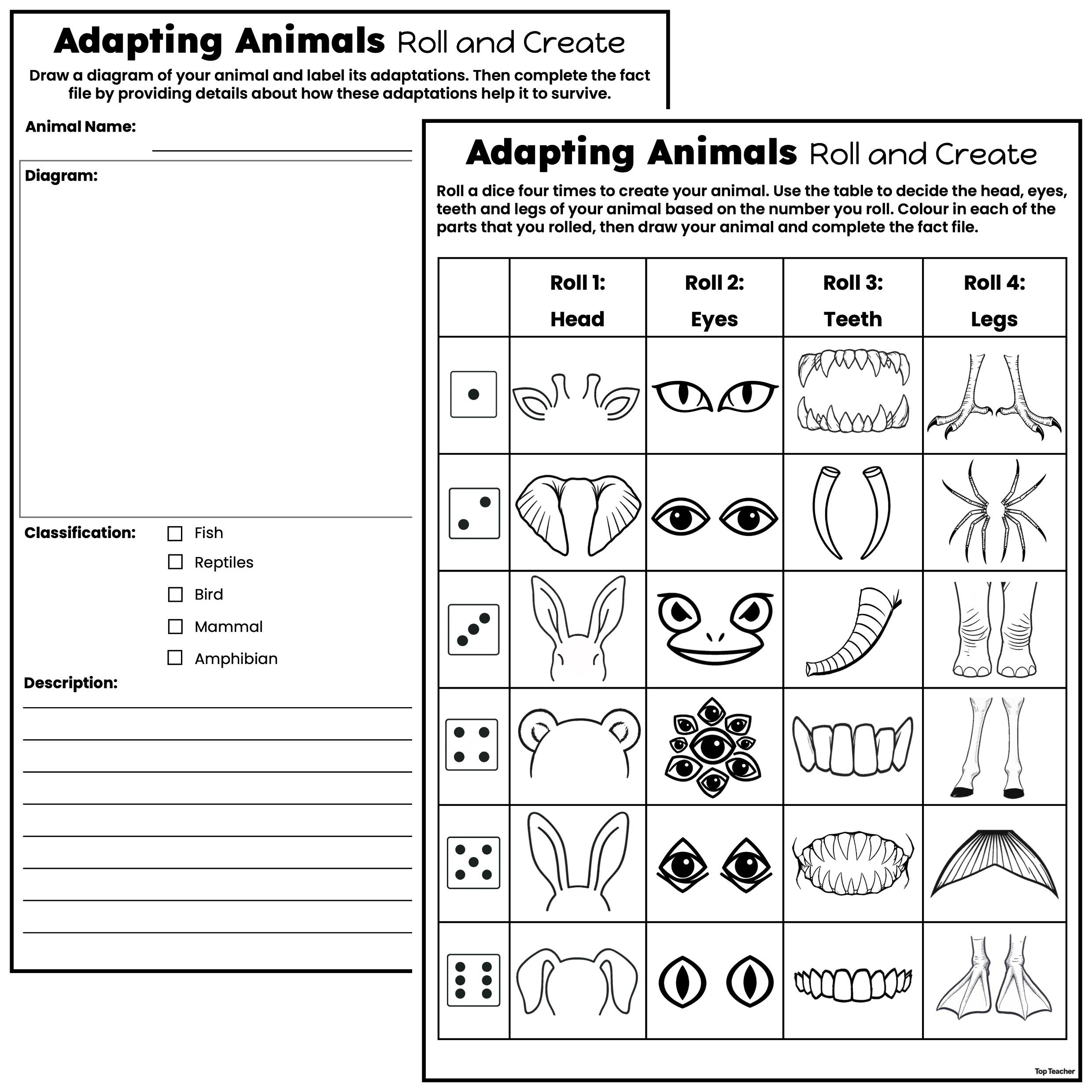 Animal Adaptations Roll and Create Cover Image TT