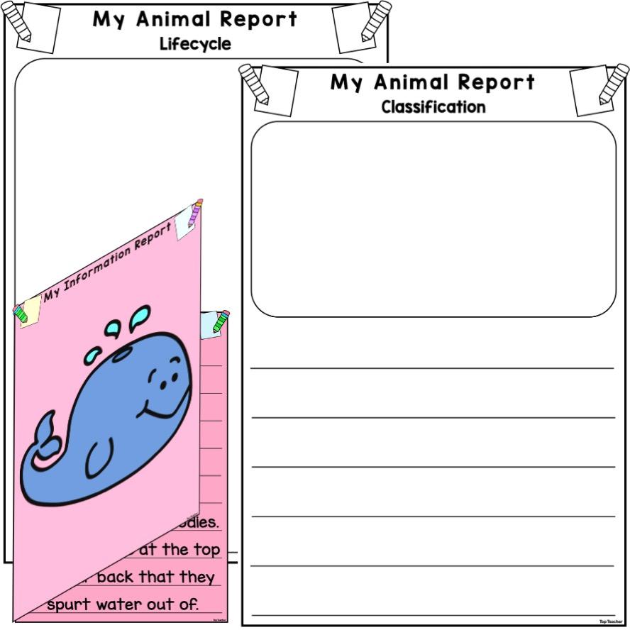 Animal Information Report Templates Top Teacher