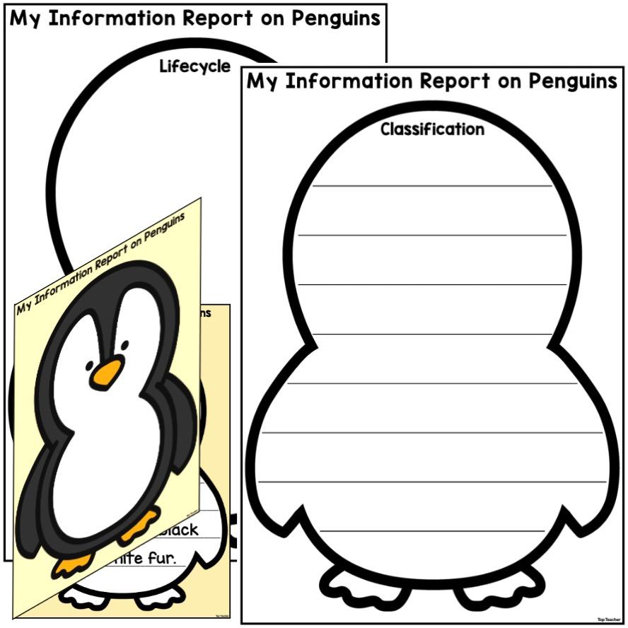Penguin Information Report Templates Top Teacher