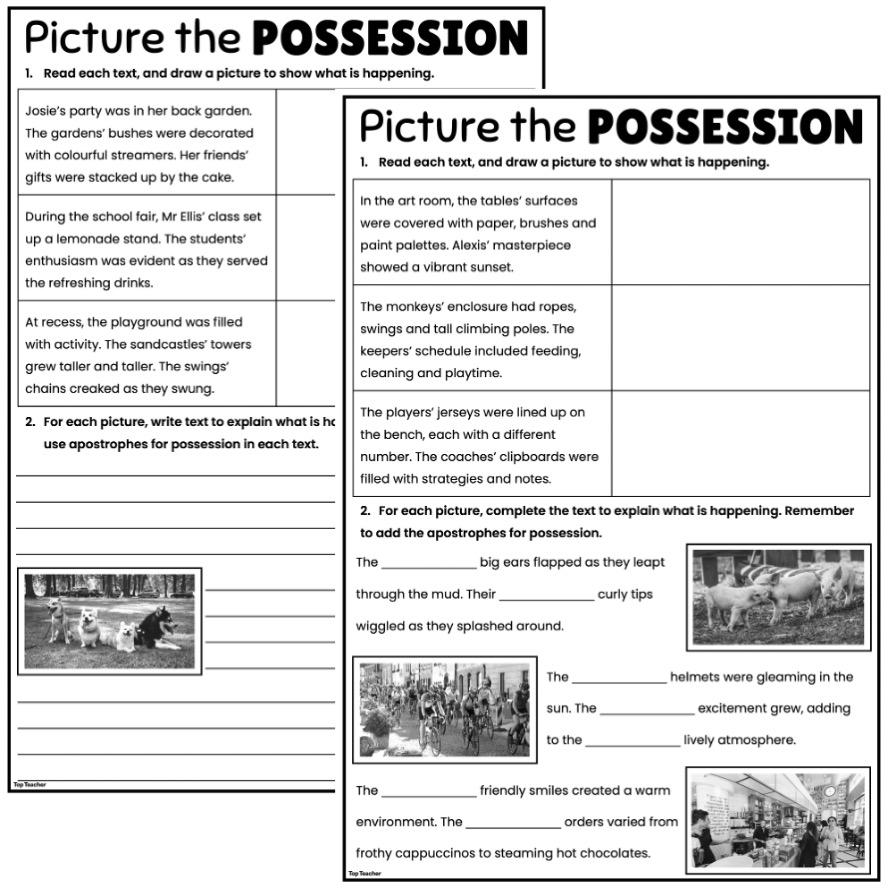 Picture the Possession Worksheets top teacher
